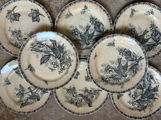 Dinnerware