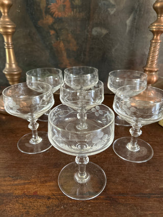 French Vintage Etched Champagne Coupe