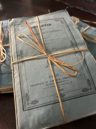 Vintage French Set of Decorative Blue Books