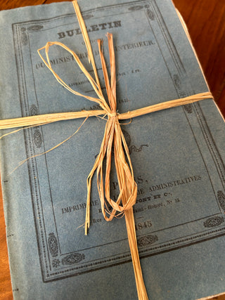 Vintage French Decorative Blue Books