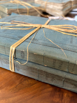 Vintage French Decorative Blue Books