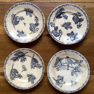 Vintage Belgian Transferware Nimy Rare Dinner Plates #2