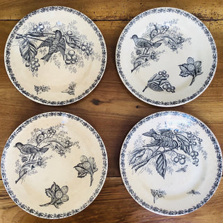 Vintage Belgian Transferware Nimy Rare Dinner Plates #3