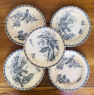 Vintage Belgian Transferware Nimy Rare Dinner Plates #5
