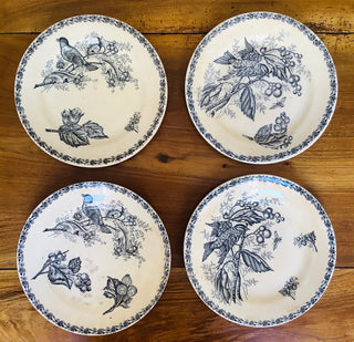 Vintage Belgian Transferware Nimy Rare Dinner Plates #4