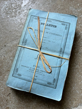 Vintage French Set of Decorative Blue Books