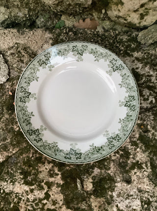 Vintage French Cake Serving Plate Green Ivy Border