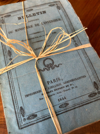 Vintage French Set of Decorative Blue Books