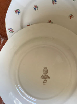 Vintage French Charming Floral Dinner Plates